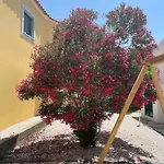 Quinta De Toubres 別荘 Murça