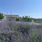 Quinta De Toubres * Murça
