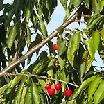別荘 Quinta De Toubres