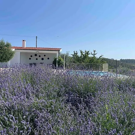 Quinta De Toubres * Murça