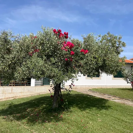 Сasa de vacaciones Quinta De Toubres