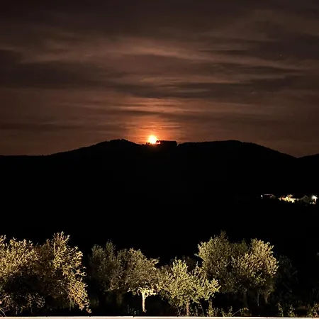 Holiday home Quinta De Toubres Murca