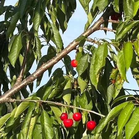 Сasa de vacaciones Quinta De Toubres