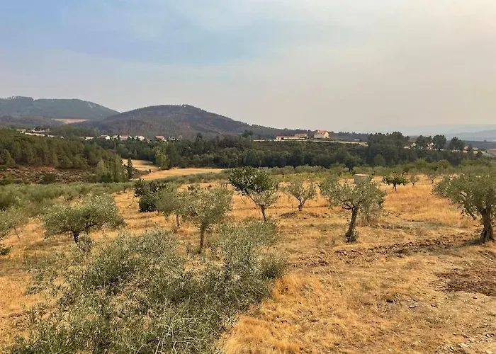 Quinta De Toubres 度假居 Murça