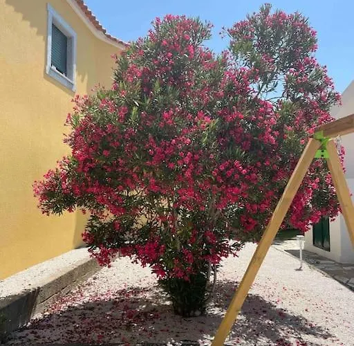 Quinta De Toubres Dom wakacyjny Murça