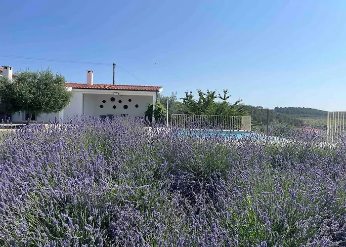 Quinta De Toubres * Murça