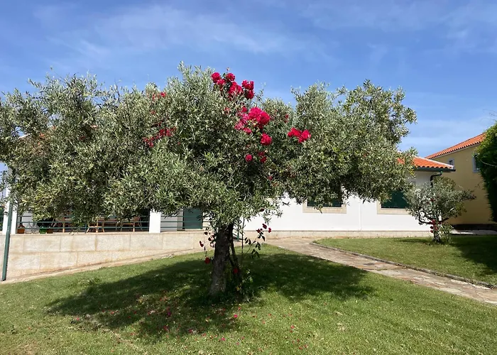 度假居 Quinta De Toubres